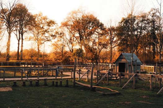 Extra activiteiten bij ’t Schaapsherdertje tijdens Maand van de Kinderboerderij