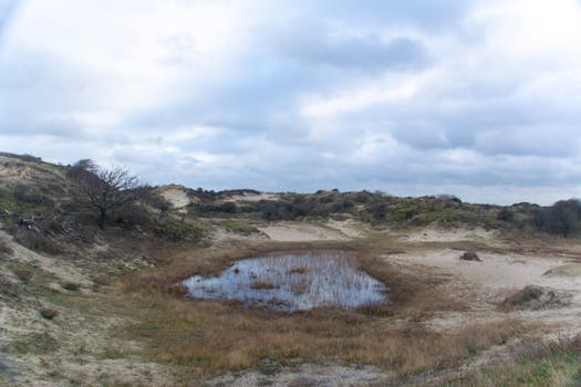 Natuurbranden op meerdere plekken, ook melding in duinen van Noordwijk