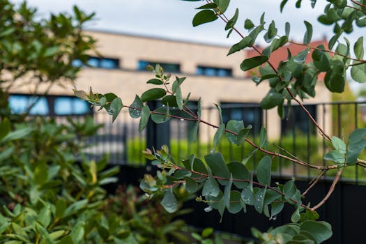 Buurtbewoners knappen voortuinen op tijdens geslaagde Tuinendag
