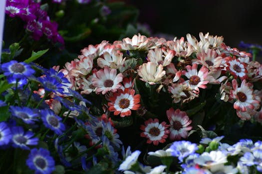 Pluktuin op begraafplaats Oude Zeeweg officieel geopend