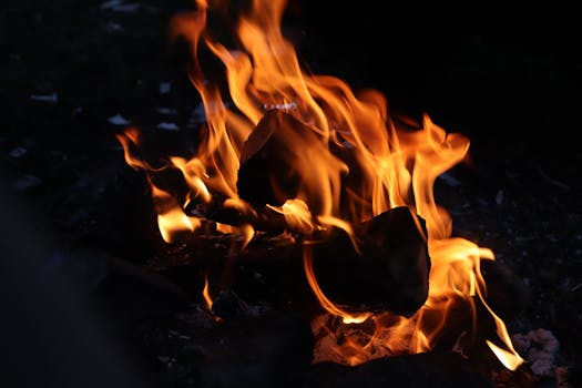 Brand in duinen tussen Noordwijk en De Zilk trekt veel brandweer