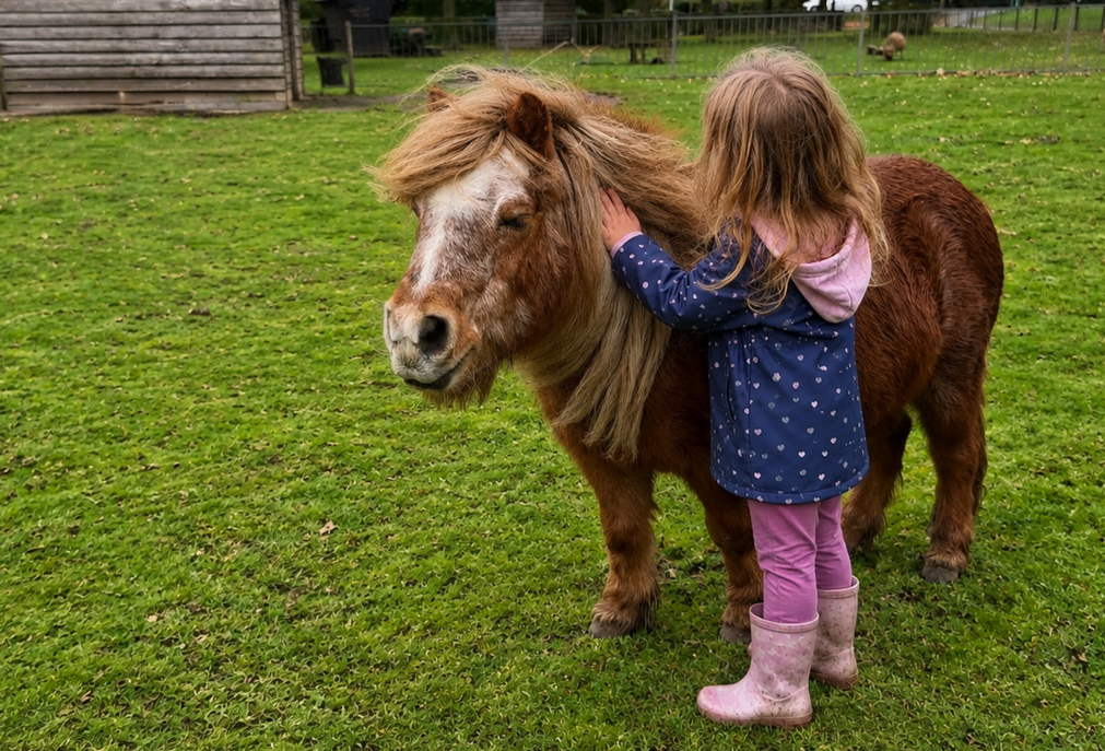 Onzekerheid over toekomst kinderboerderij ’t Schaapsherdertje